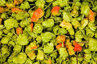 记者吐槽游戏开发时间越来越长：现在开做最后成PS6游戏